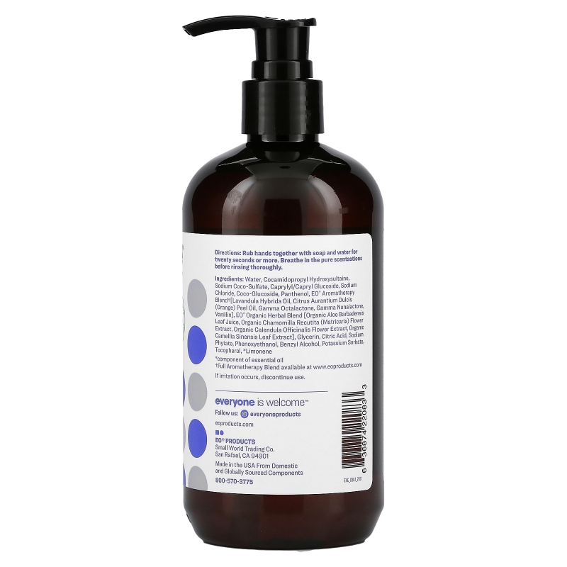 Everyone Hand Soap Lavender + Coconut 12.75 fl oz (377 ml)